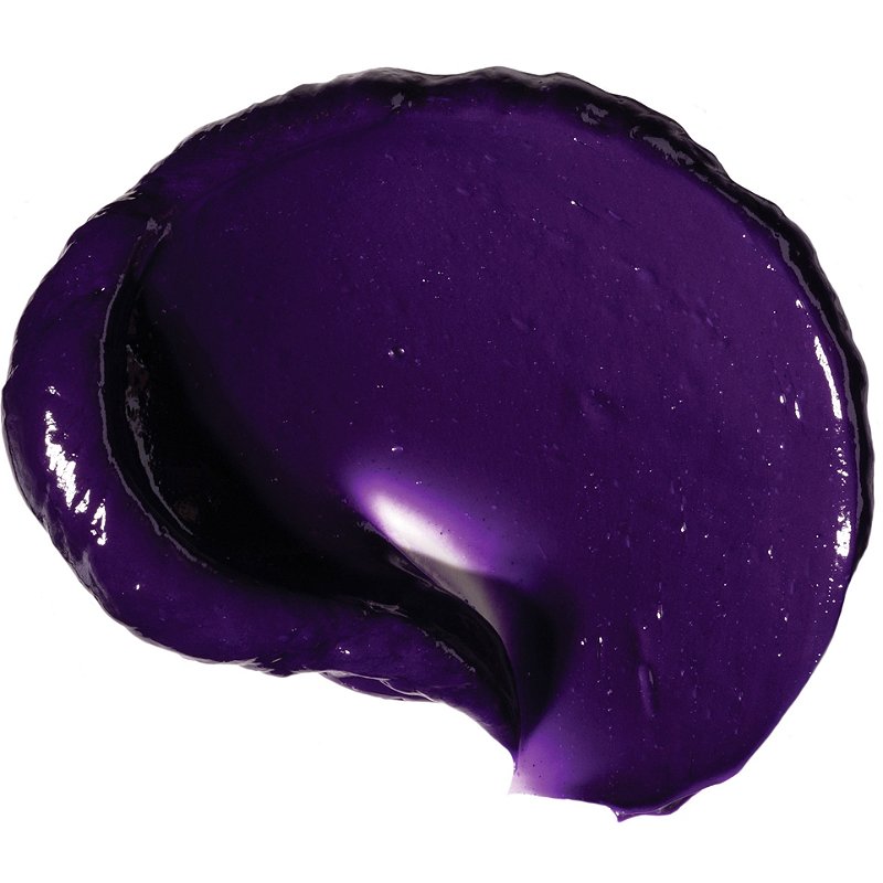 Redken Travel Size Color Extend Blondage Anti Brass Purple Hair