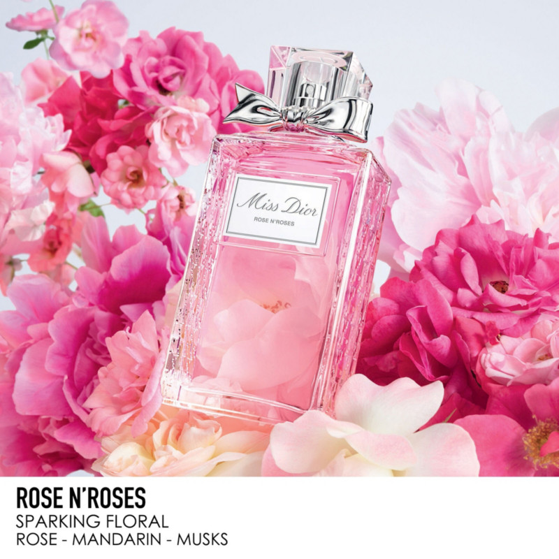 dior rose parfum