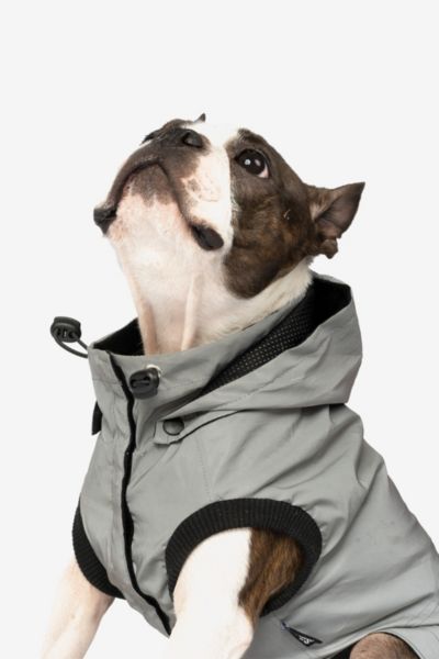 Silver Paw Max Reflective Pet Raincoat