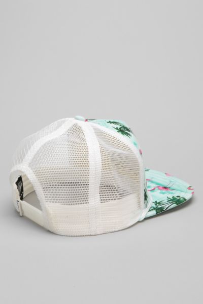 vans flamingo hat