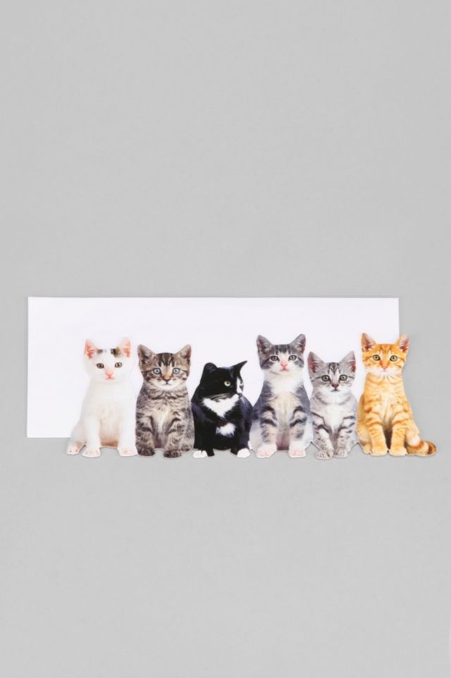 Carte D Anniversaire Avec Chats Urban Outfitters Canada