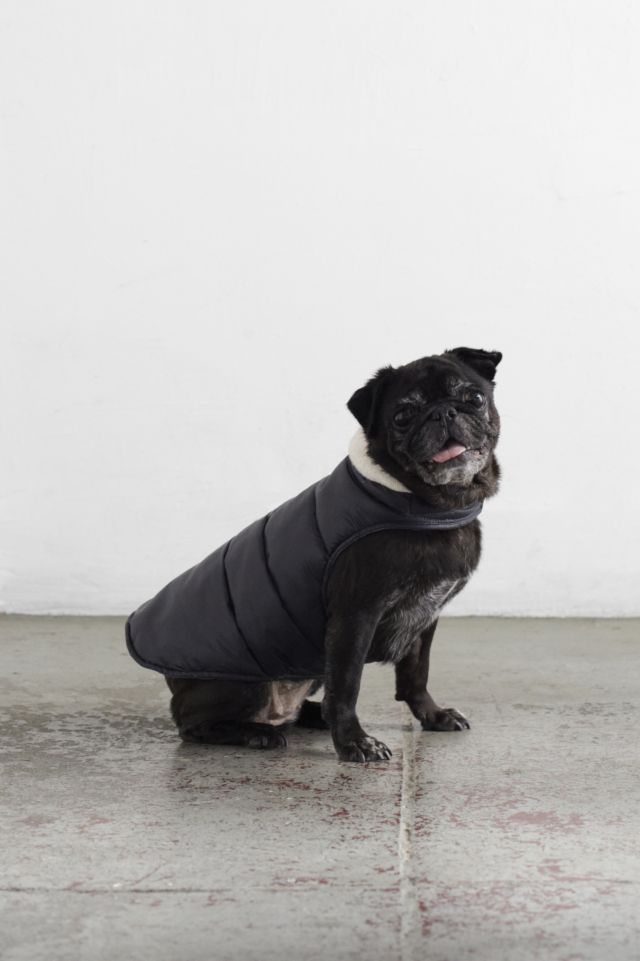 Love Thy Beast Reversible Dog Vest Urban Outfitters