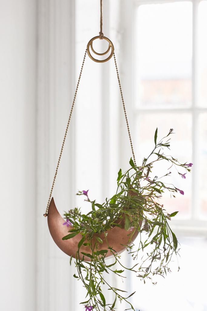Magical Thinking Crescent Hanging Planter Urban Outfitters