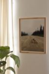 Thumbnail View 1: Kevin Russ Road Fox Art Print