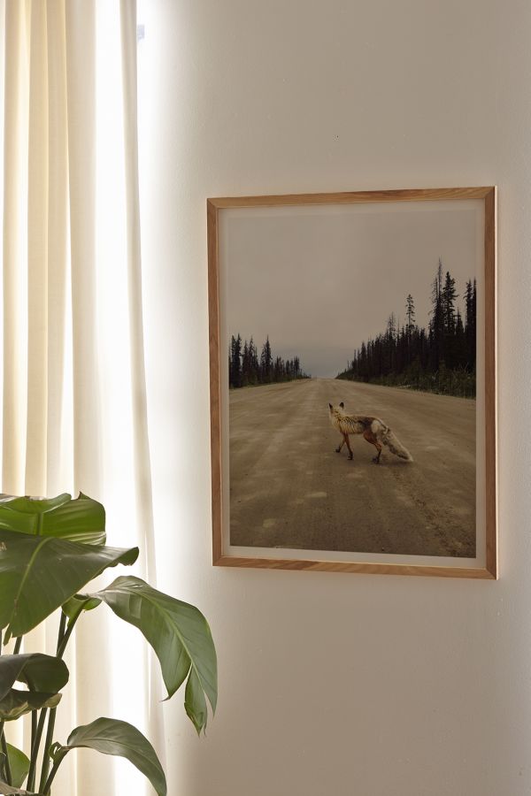 Slide View: 1: Kevin Russ Road Fox Art Print