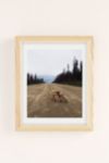 Thumbnail View 2: Kevin Russ Road Fox Art Print