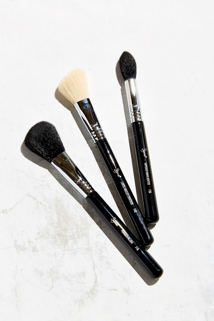 Sigma Beauty Blush Affair Brush Set Urban Outfitters