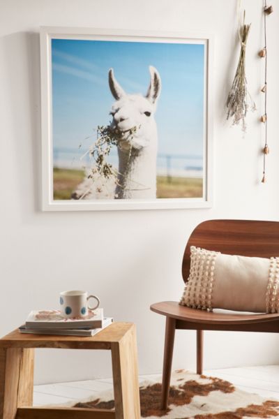 llama cushion urban outfitters