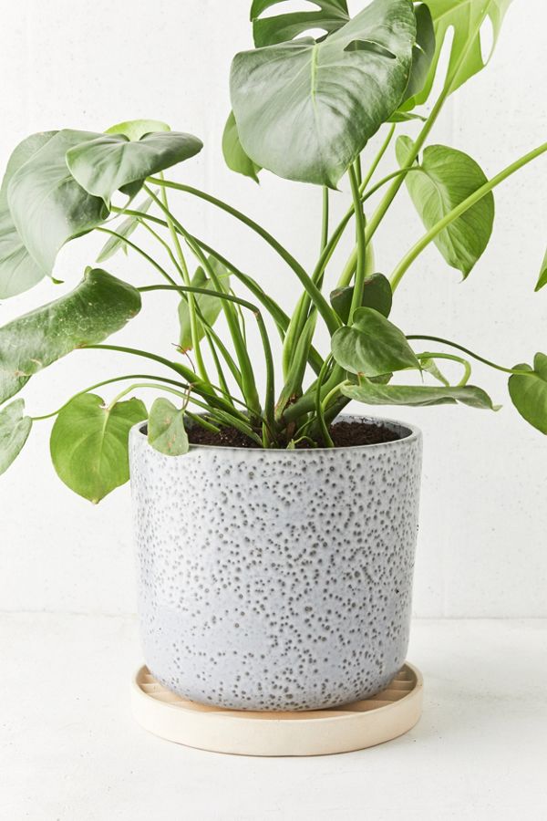 Slide View: 1: Parker 10" Planter + Drainage Tray Set