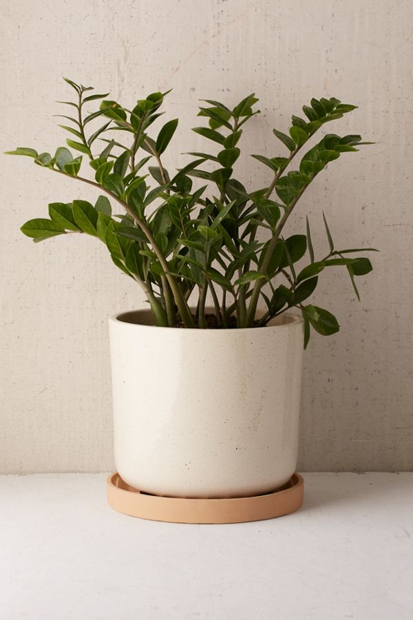 Slide View: 1: Parker 10" Planter + Drainage Tray Set