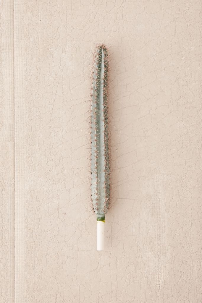Medium Faux Cactus Decor Urban Outfitters