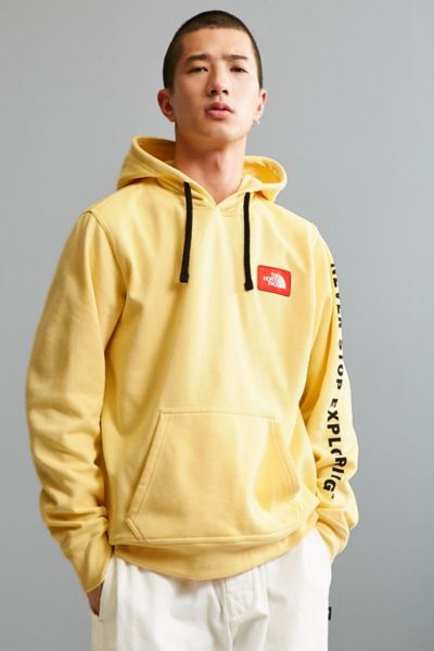 urban outfitters north face hoodie