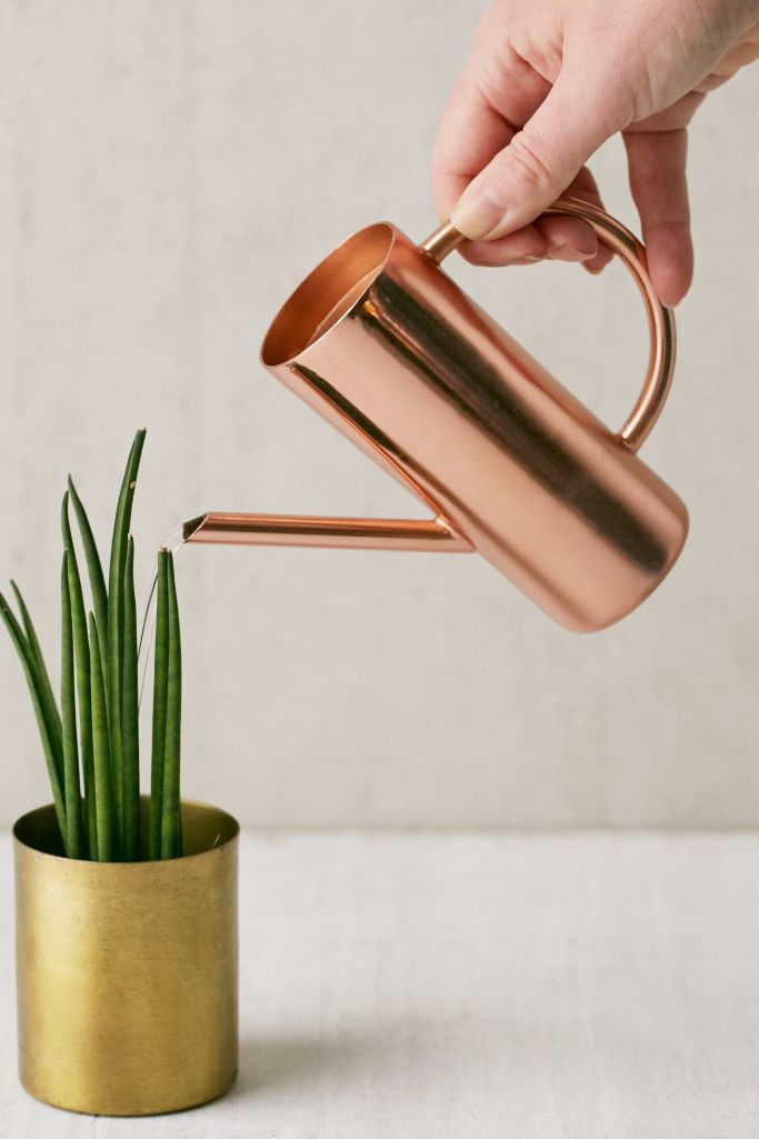 Roxie Rose Gold Mini Watering Can | Urban Outfitters