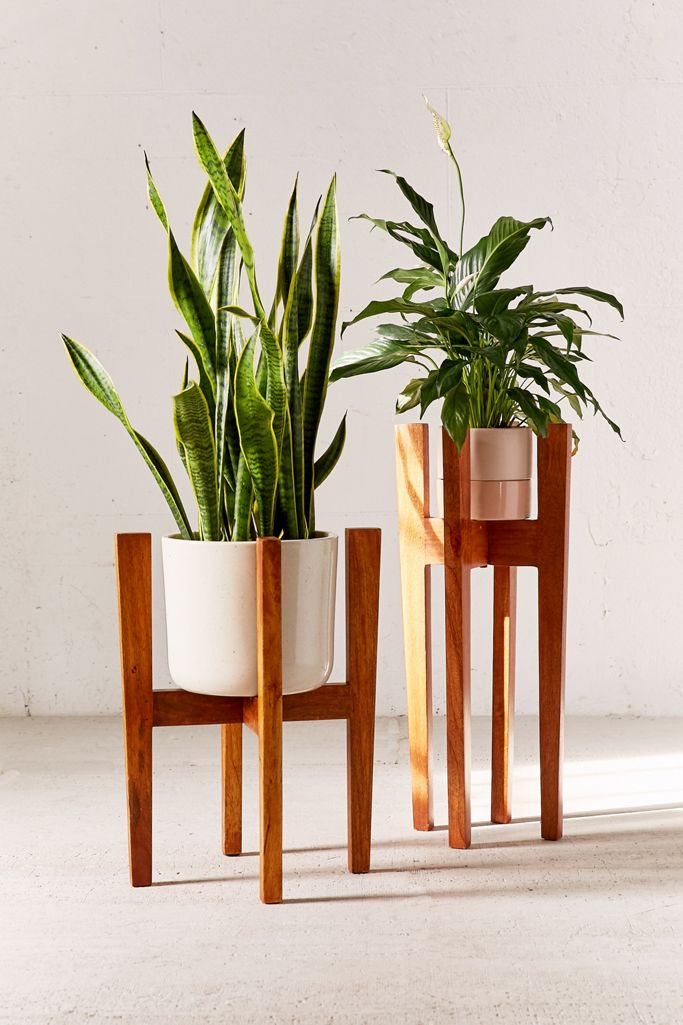 Knock Down Plant Stand