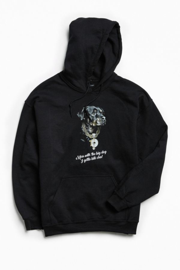 Jay Z Big Dog Hoodie Sweatshirt Urban Outfitters
