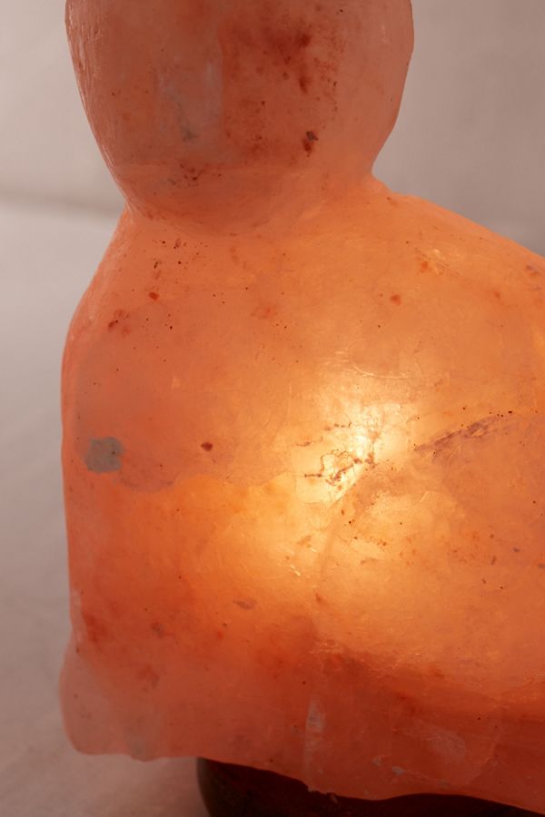 Cat Himalayan Salt Lamp Urban Outfitters