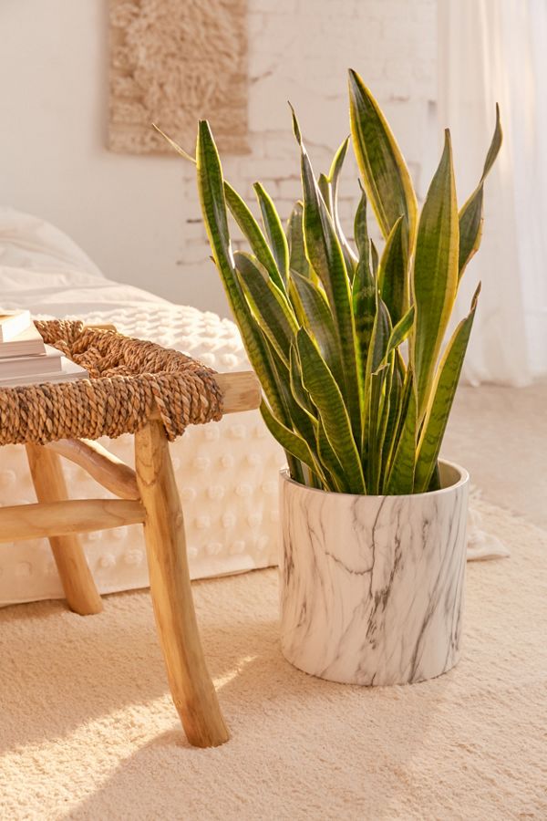 10" Marble Planter Urban Outfitters