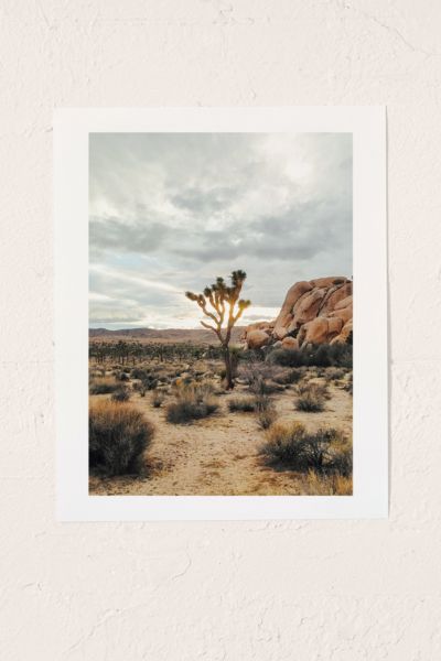 Luke Mattson Joshua Tree Art Print | Urban Outfitters