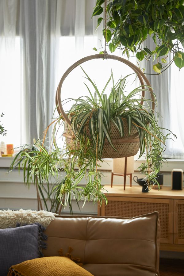 Margot Hanging Planter