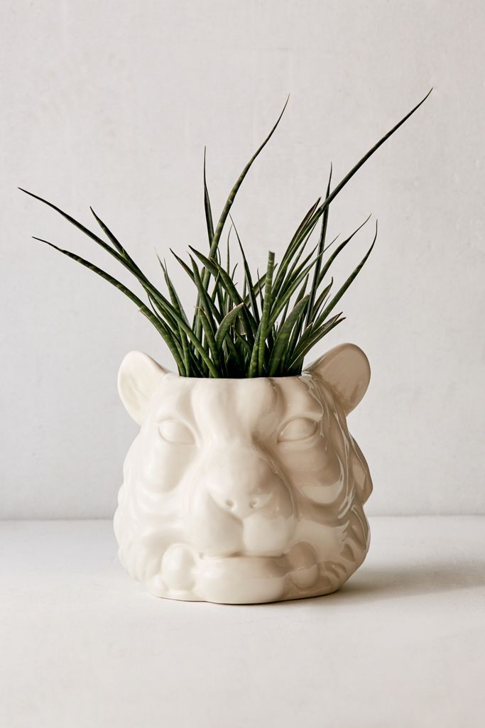 Small Tiger Planter Urban Outfitters