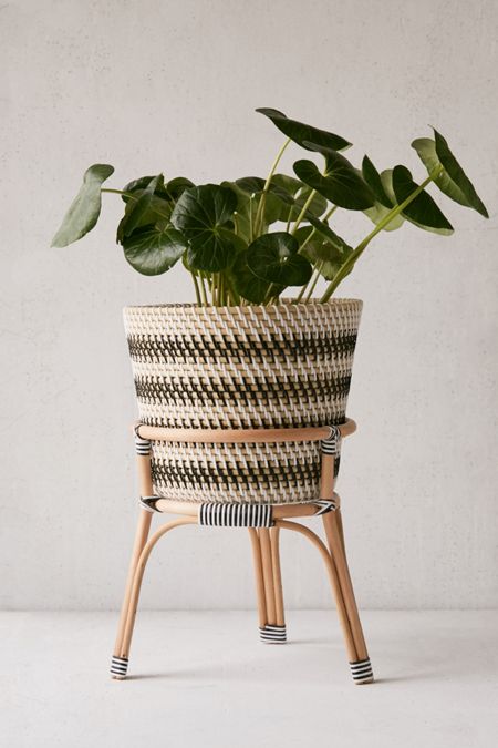Back In Stock Home Decor Urban Outfitters