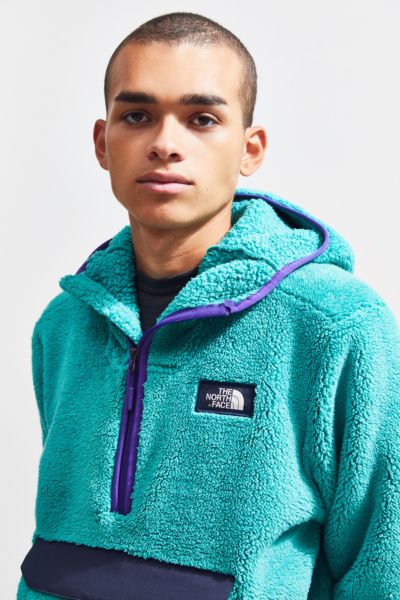 the north face sherpa hoodie