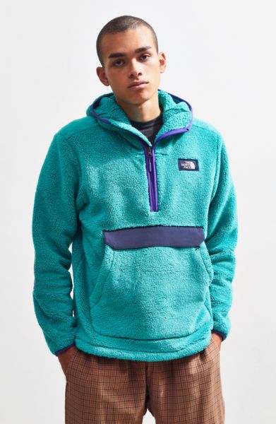 the north face sherpa hoodie