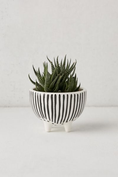 Urban Outfitters Mini Planter with Black and White Stripes