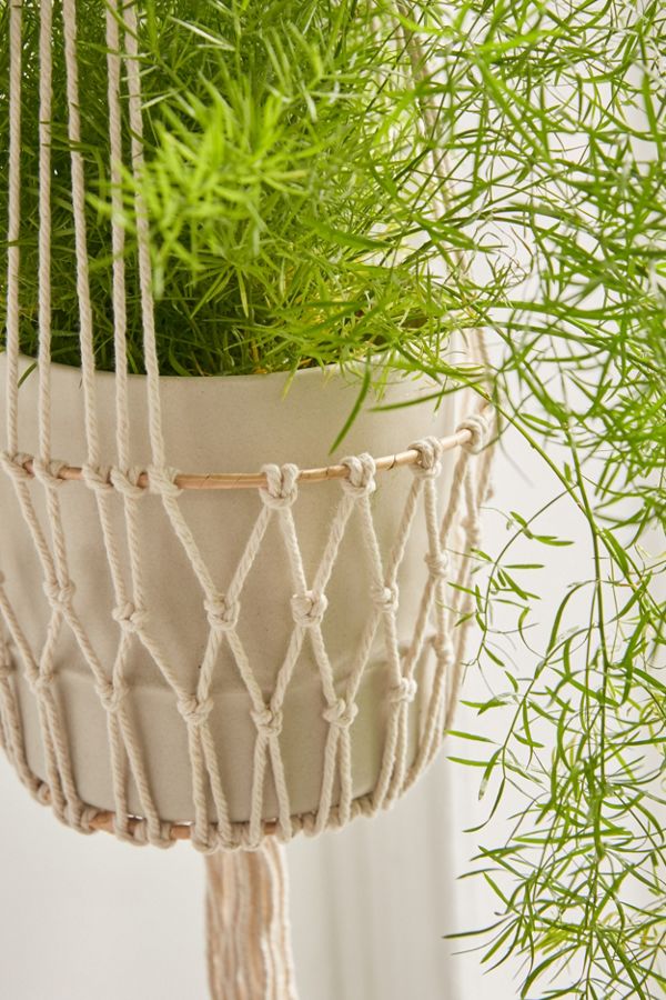 Ira Hanging Planter Urban Outfitters