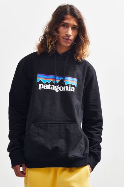 patagonia logo hoodie