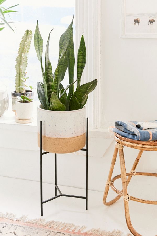 Slide View: 1: Brina 10" Planter + Stand