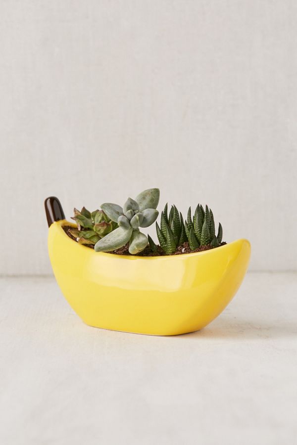 Banana Planter Urban Outfitters