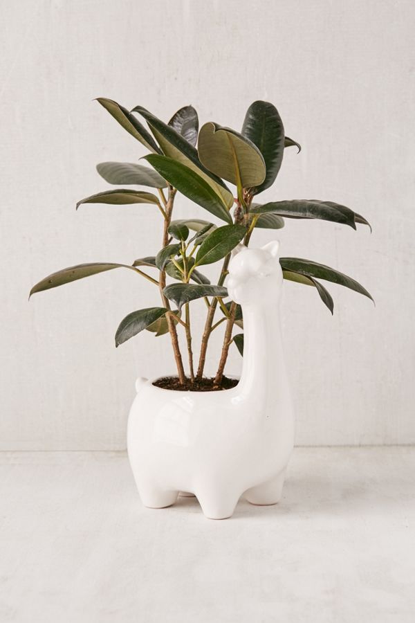Slide View: 1: Large Llama Planter