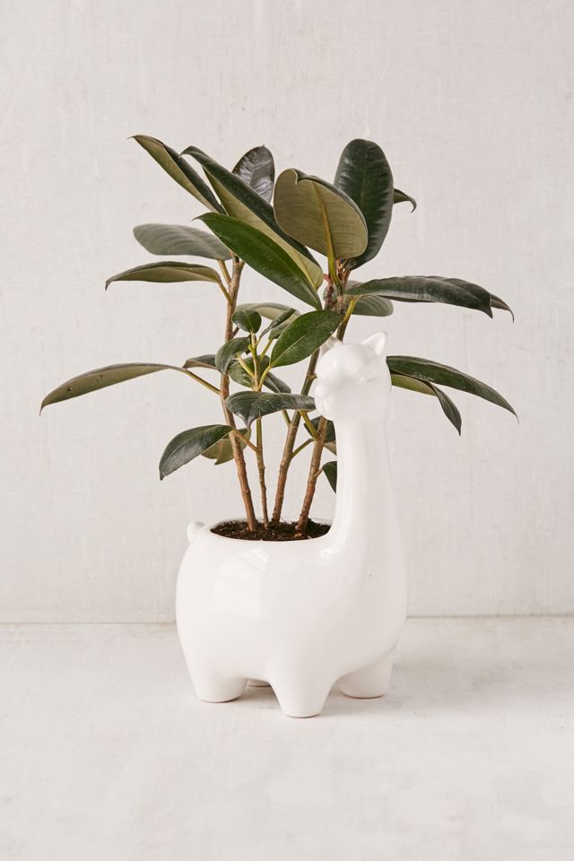 Large Llama 4" Planter Urban Outfitters