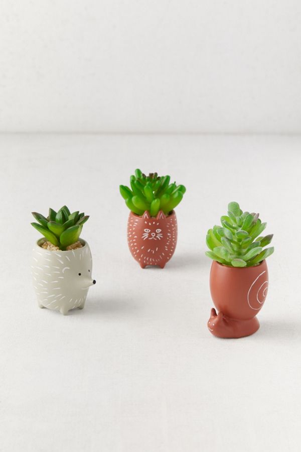 Slide View: 4: Tiny Animal Pot Faux Succulent