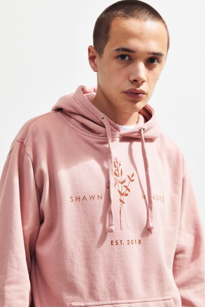 shawn mendes urban outfitters hoodie