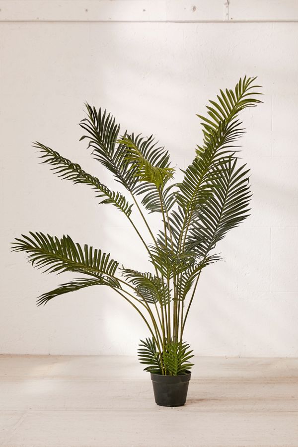 Areca 6’ Potted Faux Plant Urban Outfitters