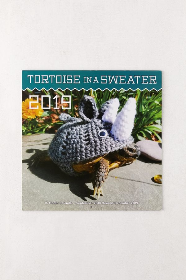 2019-tortoise-in-a-sweater-12-month-wall-calendar-urban-outfitters