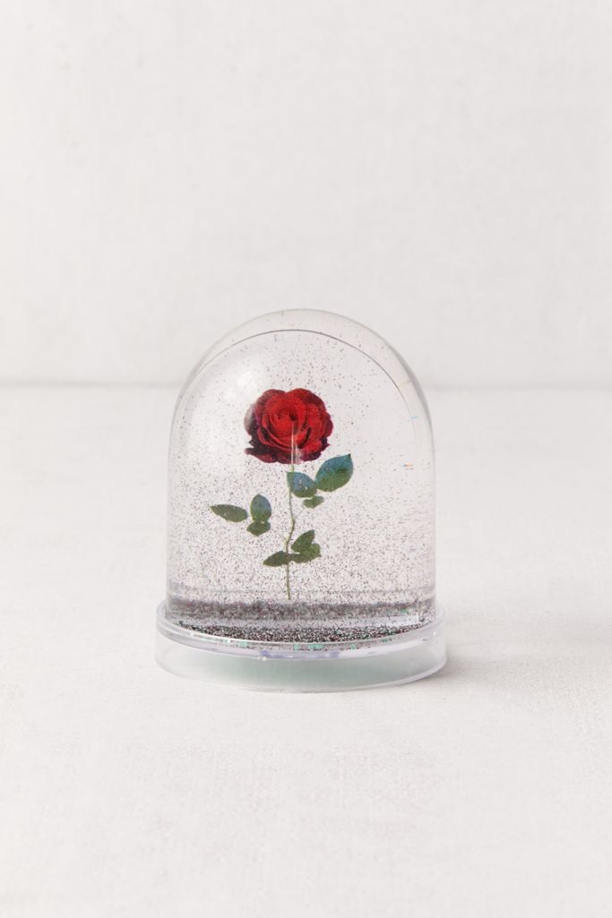 Rose Snow Globe Urban Outfitters