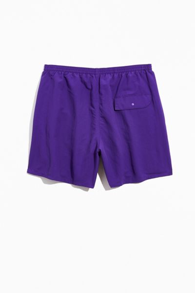 patagonia shorts purple