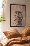 Thumbnail View 1: Gal Design Tiger Art Print