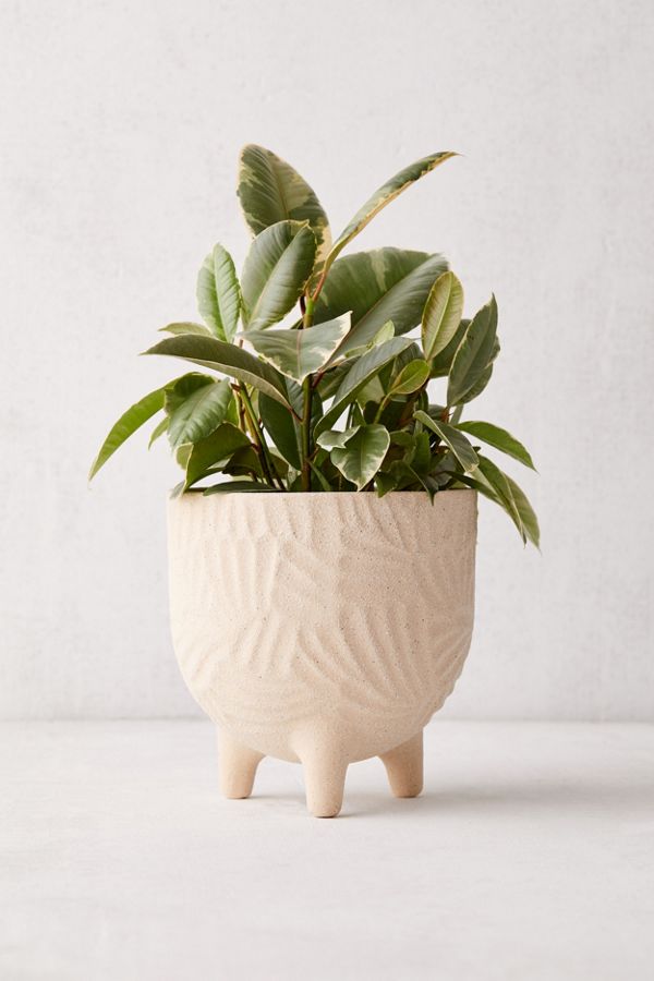 Slide View: 1: Sita 8â?ť Textured Planter
