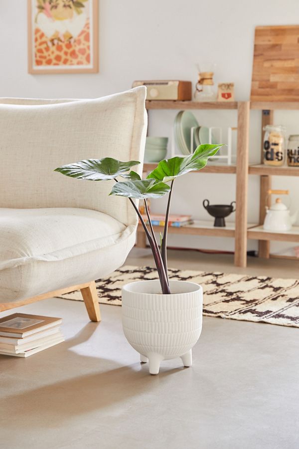 Slide View: 1: Sita 10â?ť Textured Planter