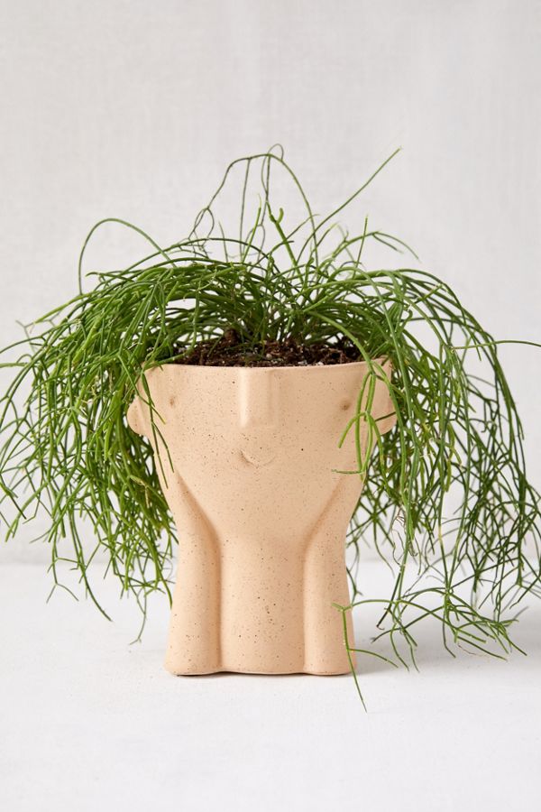 Slide View: 1: Hector Face Planter