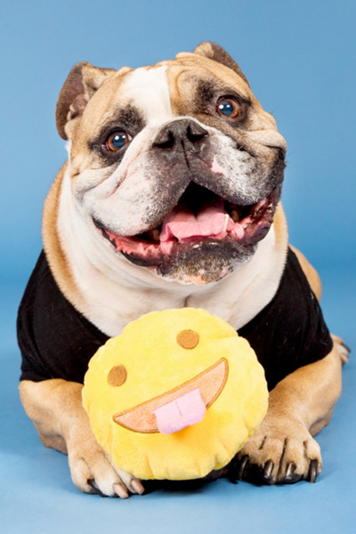 smiley face dog ball