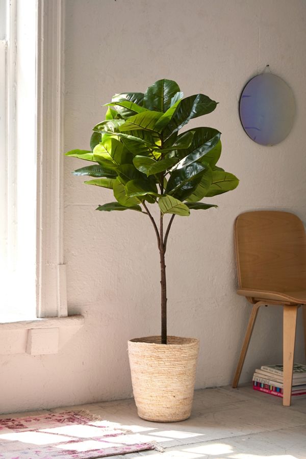 Slide View: 1: Potted Faux Rubber Tree