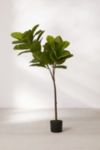 Potted Faux Rubber Tree | Urban Outfitters