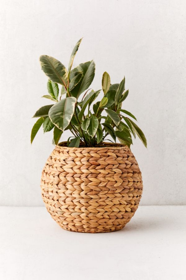 Wyn Woven Planter Basket Urban Outfitters