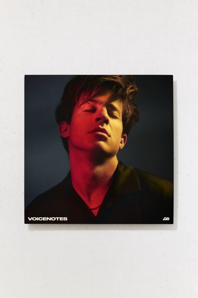 Charlie Puth - Voicenotes LP | Urban Outfitters