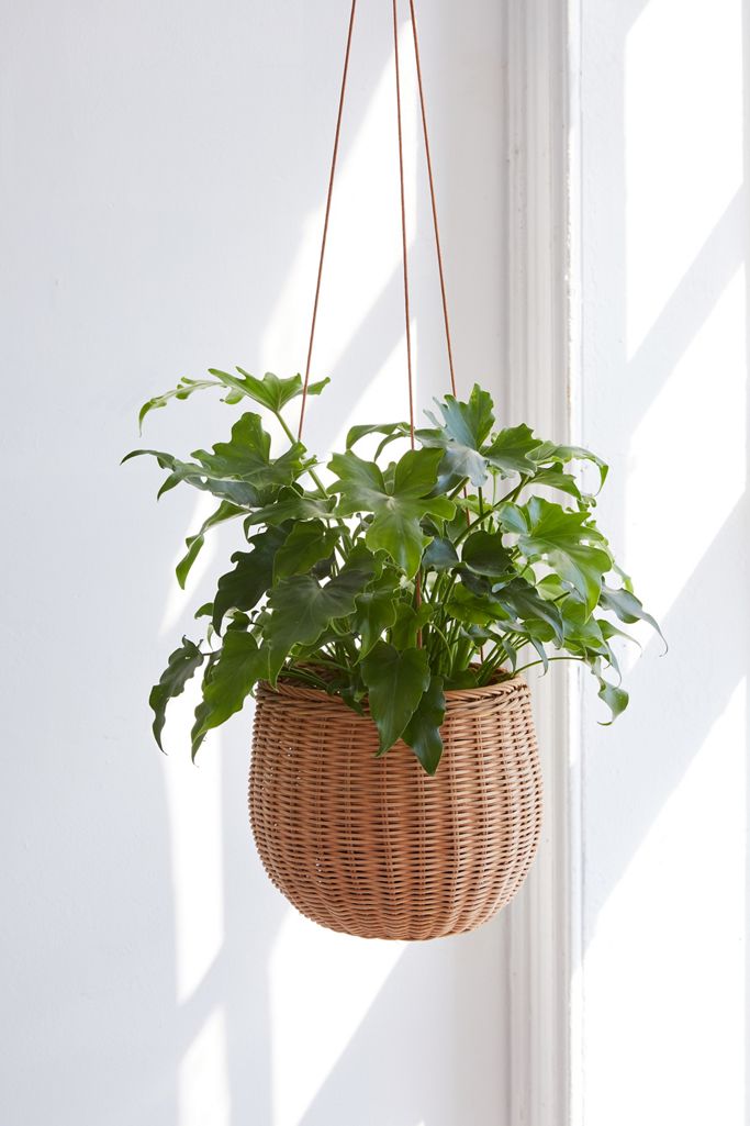 Rae Rattan Hanging Planter Urban Outfitters Canada